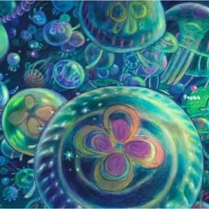 Meet your Posher, Rylee